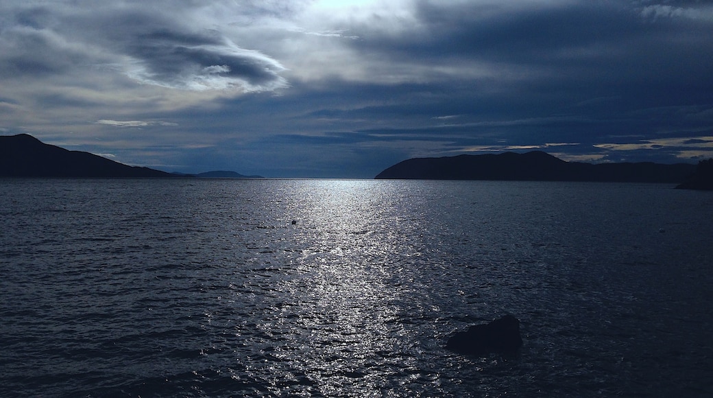 #BVSBlue
Doe Bay, once a secret gem of the Pacific Northwest, has a long, colorful history and a loyal group of fans and followers both local and worldwide.
The accommodations are rustic and charming, but the real Doe Bay experience lies beyond your cabin, yurt or tent.
It may be what you feel when you walk quietly to the tip of Meditation Point and stand alone, except for the active sea life playing in front of you. It may strike you when you return from a vigorous hike up Mt. Constitution and relax with your friends in the sauna or the soaking tubs.