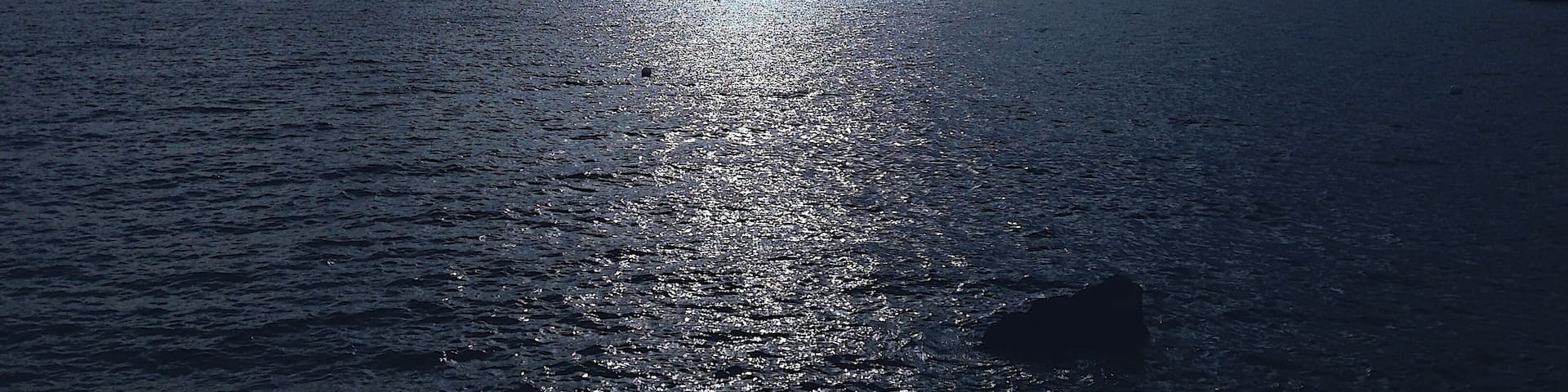 #BVSBlue
Doe Bay, once a secret gem of the Pacific Northwest, has a long, colorful history and a loyal group of fans and followers both local and worldwide.
The accommodations are rustic and charming, but the real Doe Bay experience lies beyond your cabin, yurt or tent.
It may be what you feel when you walk quietly to the tip of Meditation Point and stand alone, except for the active sea life playing in front of you. It may strike you when you return from a vigorous hike up Mt. Constitution and relax with your friends in the sauna or the soaking tubs.