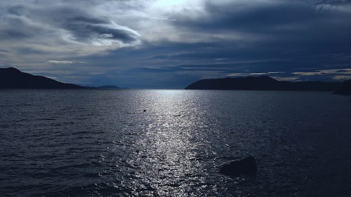 #BVSBlue
Doe Bay, once a secret gem of the Pacific Northwest, has a long, colorful history and a loyal group of fans and followers both local and worldwide.
The accommodations are rustic and charming, but the real Doe Bay experience lies beyond your cabin, yurt or tent.
It may be what you feel when you walk quietly to the tip of Meditation Point and stand alone, except for the active sea life playing in front of you. It may strike you when you return from a vigorous hike up Mt. Constitution and relax with your friends in the sauna or the soaking tubs.