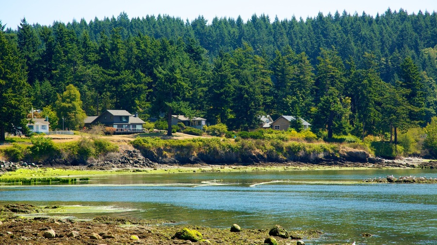 Orcas Island which includes landscape views, a river or creek and forests