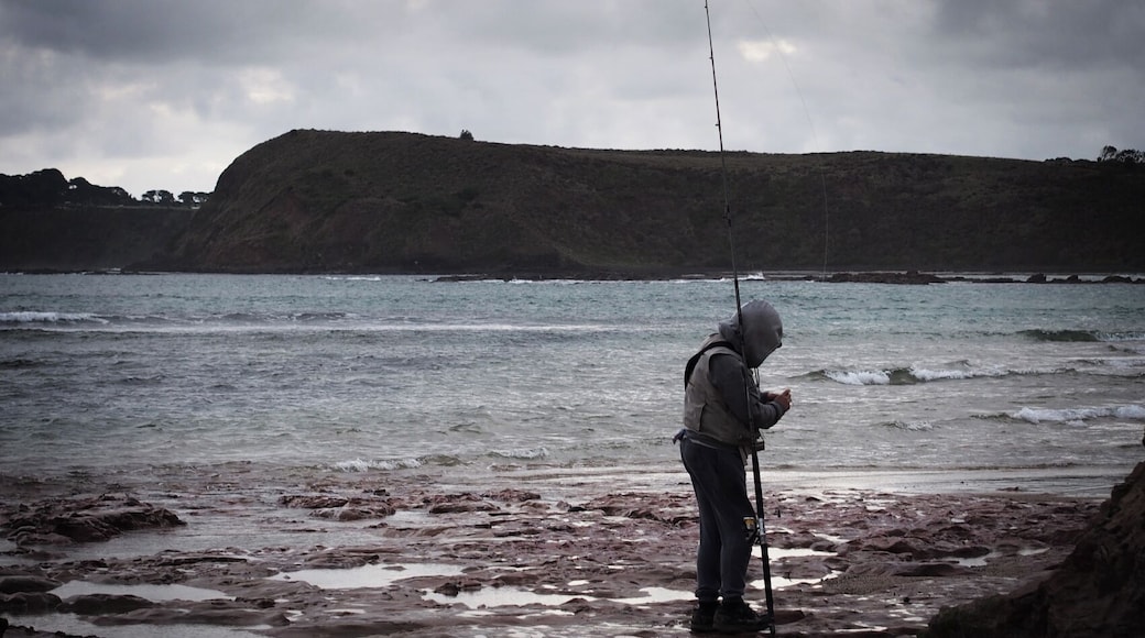 Smiths Beach, a short walk from Phillip Island Adventure Resort.