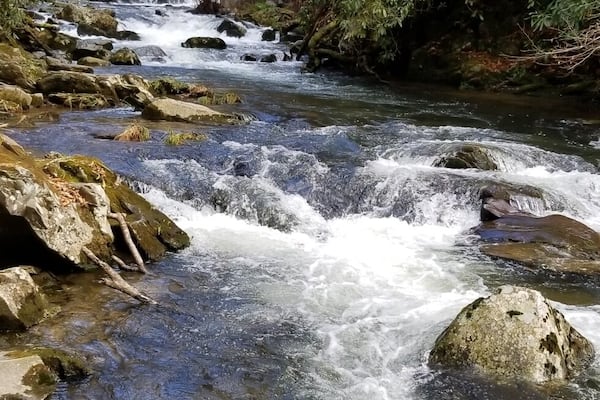 Pretty roadside waterfall in Topton, NC