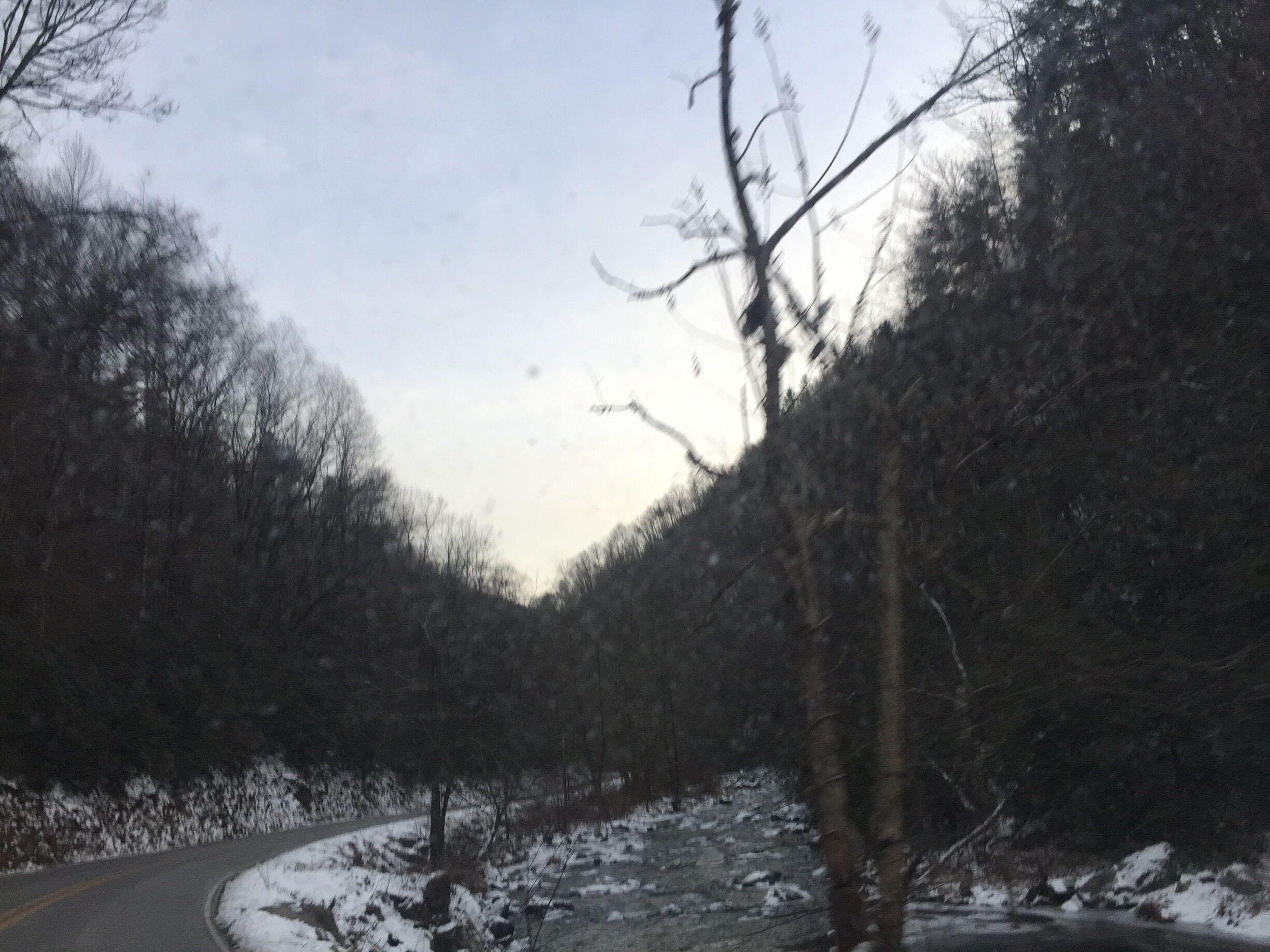 Somewhere on wayah rd below the cascades. 