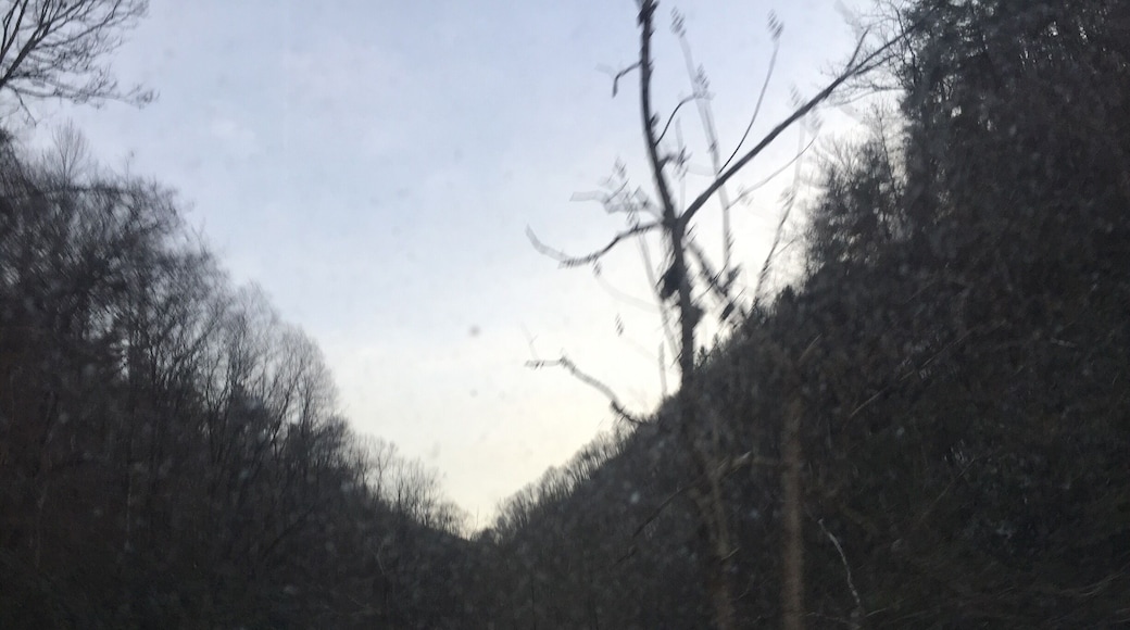 Somewhere on wayah rd below the cascades.