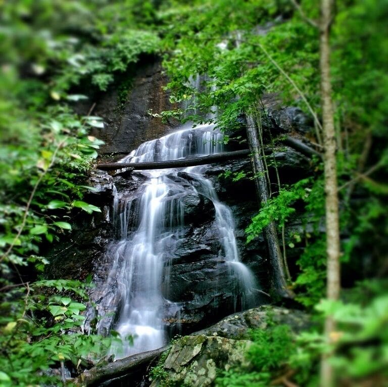 Fires creek management area. A local place to have a great picnic. It also offers horseback riding areas and great fly fishing spots. There are multiple waterfalls and places to drive up mountains. This waterfall is a little hike behind the picnic area. If you wade across the steam and walk up the stream some you will find this beautiful waterfall. It's best in mid sprig with the rhododendron is in bloom and the spring showers bring more water over the falls. 