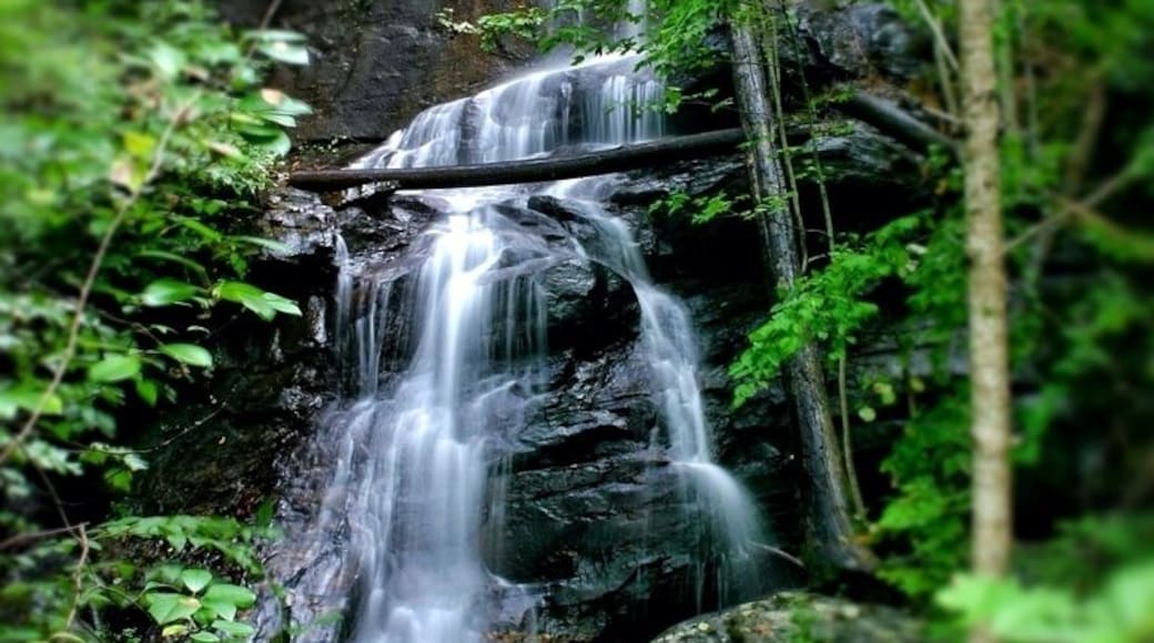 Fires creek management area. A local place to have a great picnic. It also offers horseback riding areas and great fly fishing spots. There are multiple waterfalls and places to drive up mountains. This waterfall is a little hike behind the picnic area. If you wade across the steam and walk up the stream some you will find this beautiful waterfall. It's best in mid sprig with the rhododendron is in bloom and the spring showers bring more water over the falls.