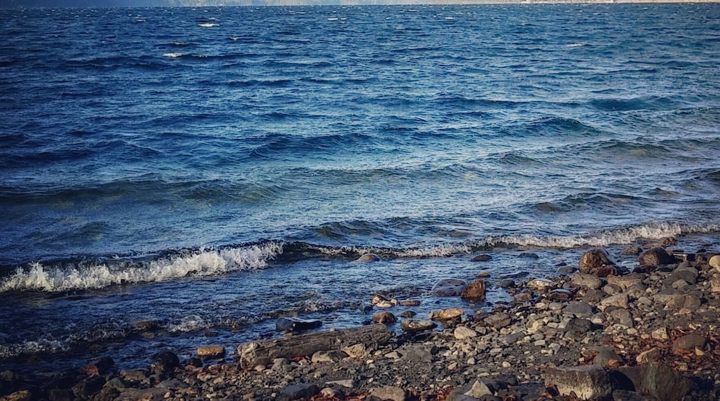 Along the shores of New Denver BC