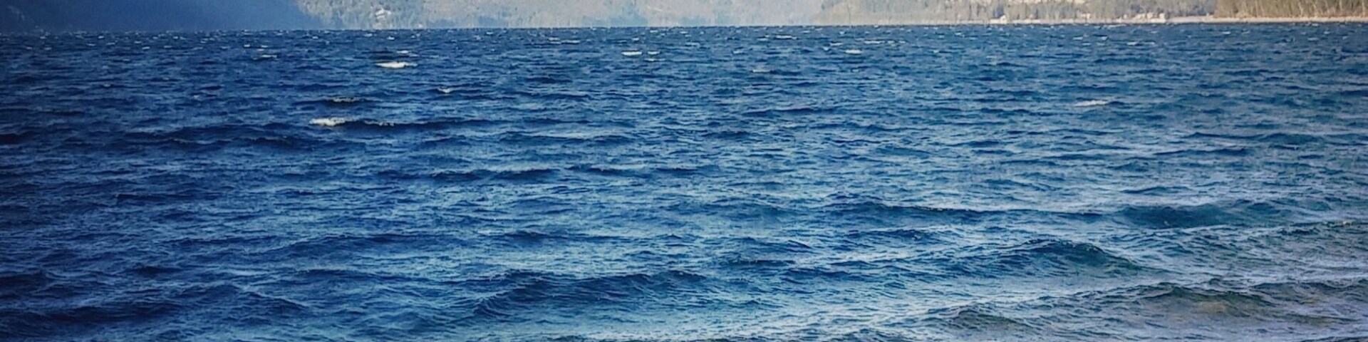 Along the shores of New Denver BC