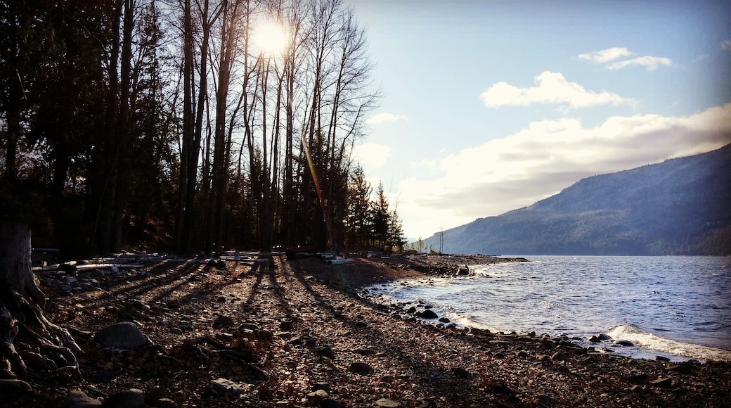 Along the shores of New Denver BC.