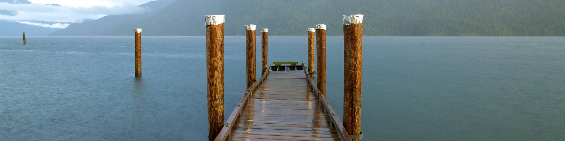 New Denver showing tranquil scenes, mist or fog and a lake or waterhole