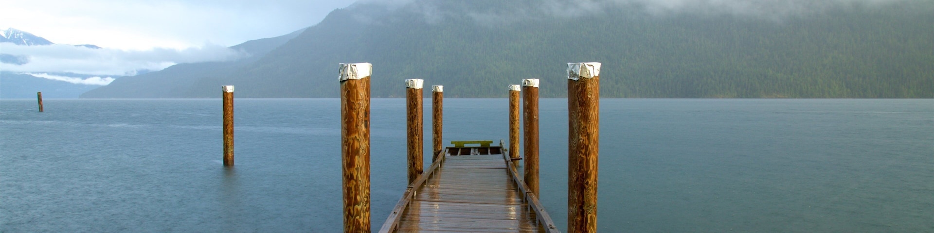 New Denver que incluye un lago o laguna, niebla y situaciones tranquilas