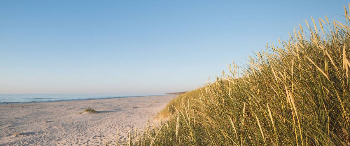 Banner showing a beautiful wide beach on the Baltic Sea. Grasses on the dune in the foreground. Copy space. Slajszewo, Choczewo, Poland