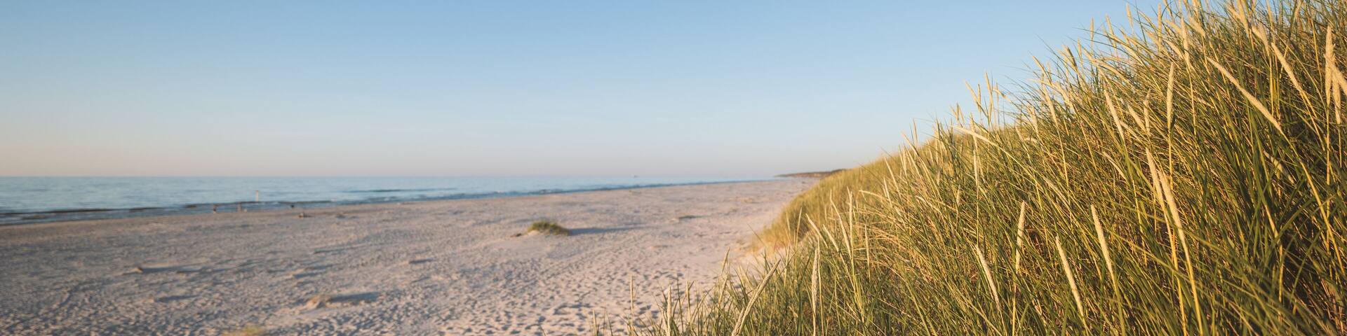 Banner showing a beautiful wide beach on the Baltic Sea. Grasses on the dune in the foreground. Copy space. Slajszewo, Choczewo, Poland