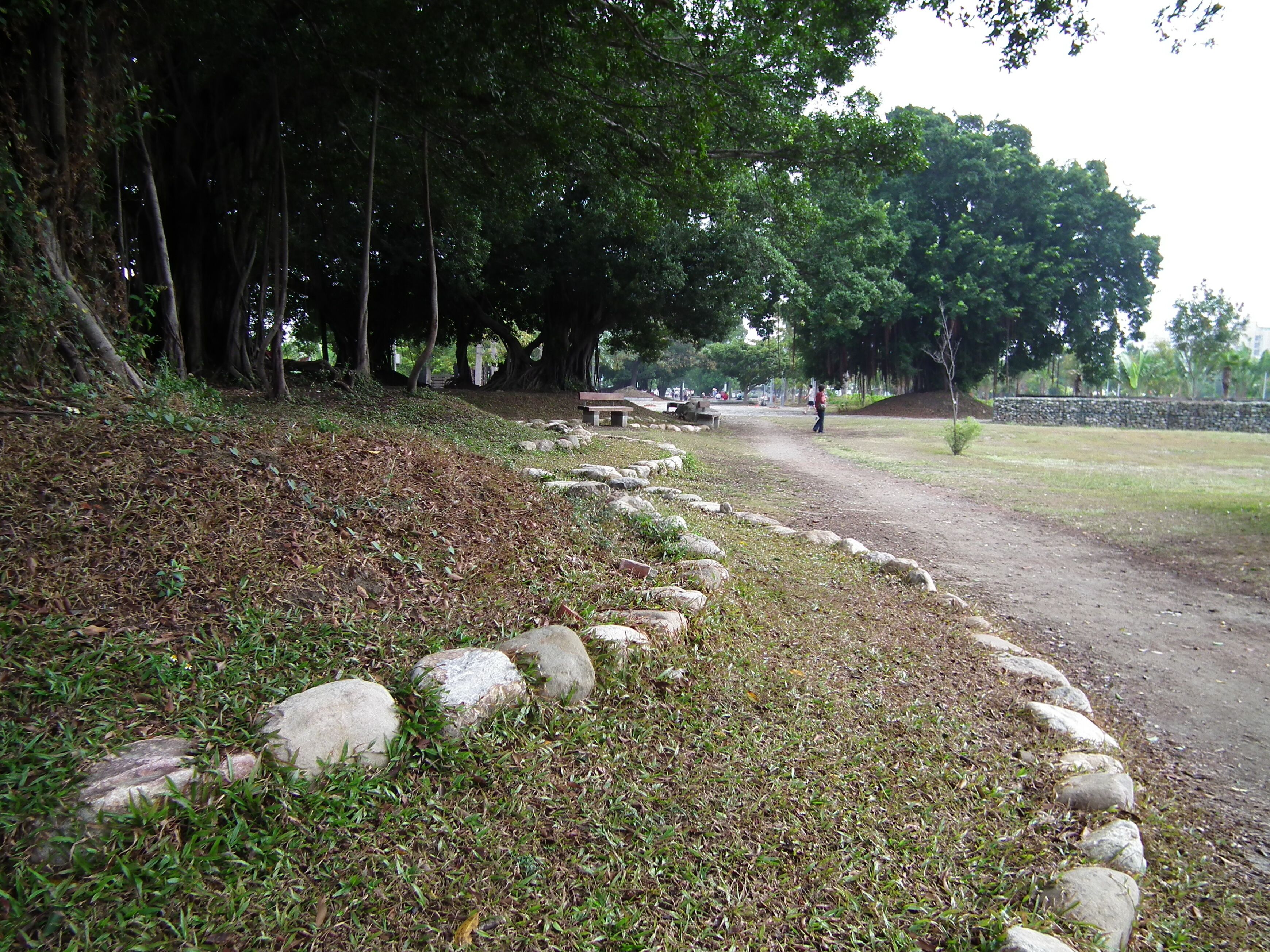 Weiwuying Municipal Park 衛武營都會公園
