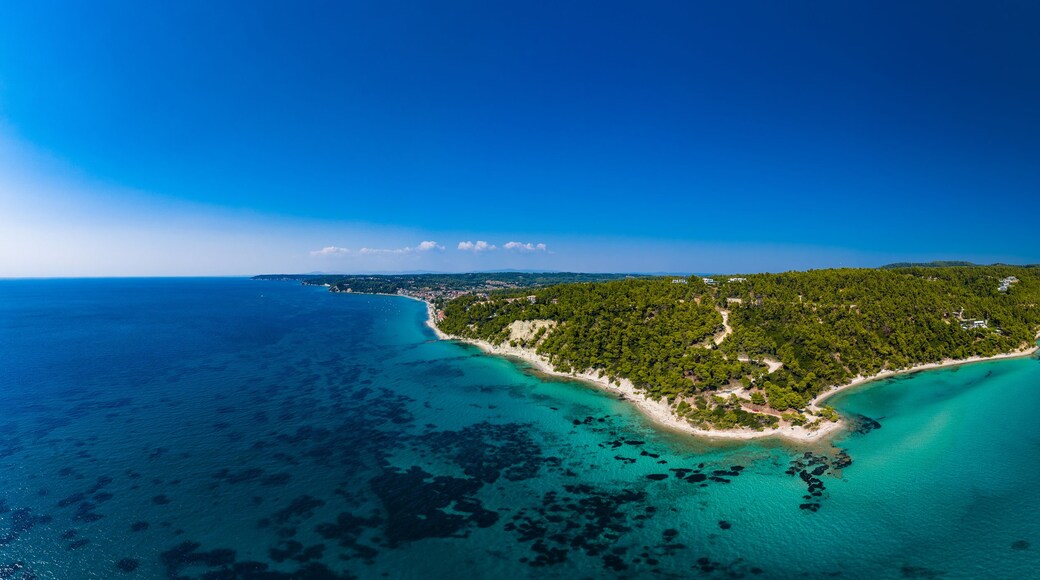 A tropical island with a clear blue sea, surrounded by lush green vegetation and a small sandy beach.