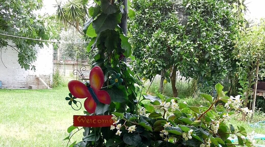 Welcome to our beautiful garden!