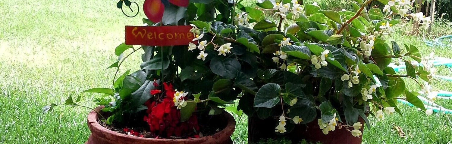 Welcome to our beautiful garden!