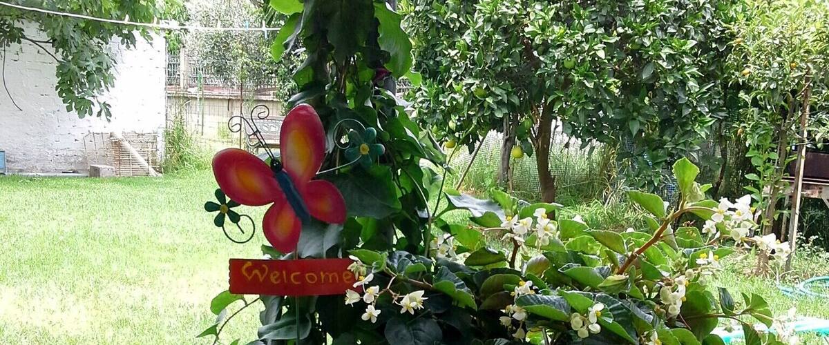 Two potted plants with a butterfly decoration and a 'Welcome' sign, set on a grassy area with trees in the background.