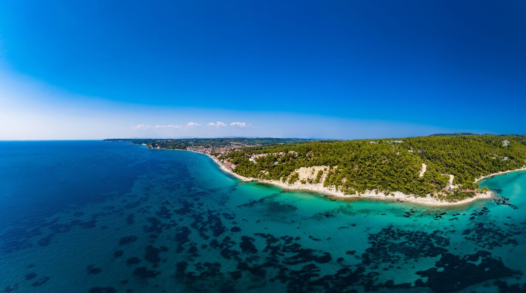 A coastal island with dense green vegetation, clear turquoise waters, and a sandy beach.