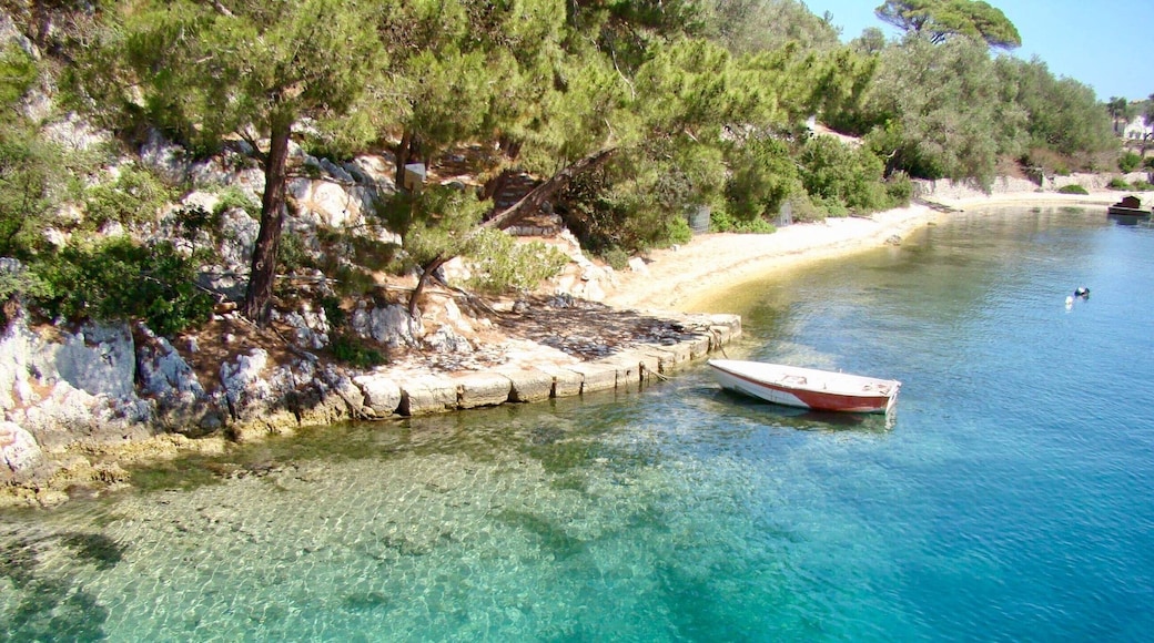 Paxos