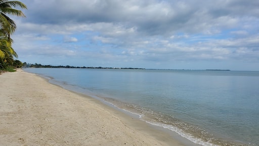 Independence y Mango Creek