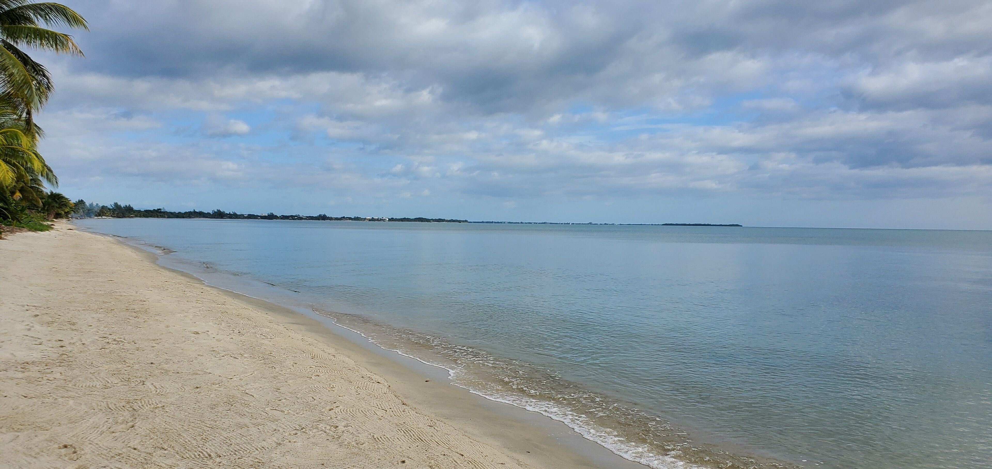 A sandy beach with gentle waves, a palm tree, and a distant shoreline under a cloudy sky.