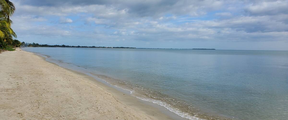 A sandy beach with gentle waves, a palm tree, and a distant shoreline under a cloudy sky.