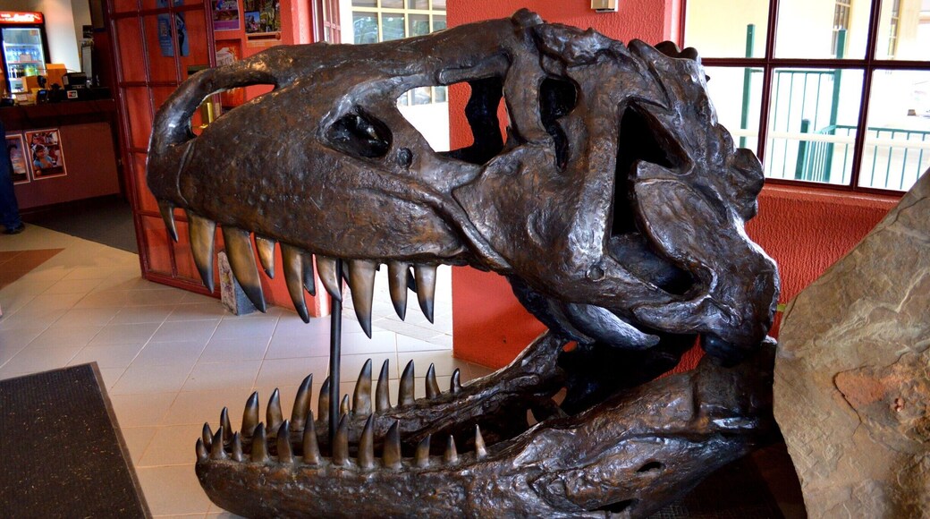 What a smile... This monster of a head can be found at the Dinosaur Museum in Canberra.
The National Dinosaur Museum holds Australia’s largest display of dinosaurs. It’s also the place to learn all about the history of our Australian dinosaurs who roamed this great land.
On the top level, there is an incredible amount of hands on displays, from life size interactive dinosaurs, from bones to minerals and fossils. There is information from the evolution of life to how dinosaurs evolved and who their direct descendants are today.
Read more about this cool museum, head over to www.facebook.com/4pairsofItchyFeet