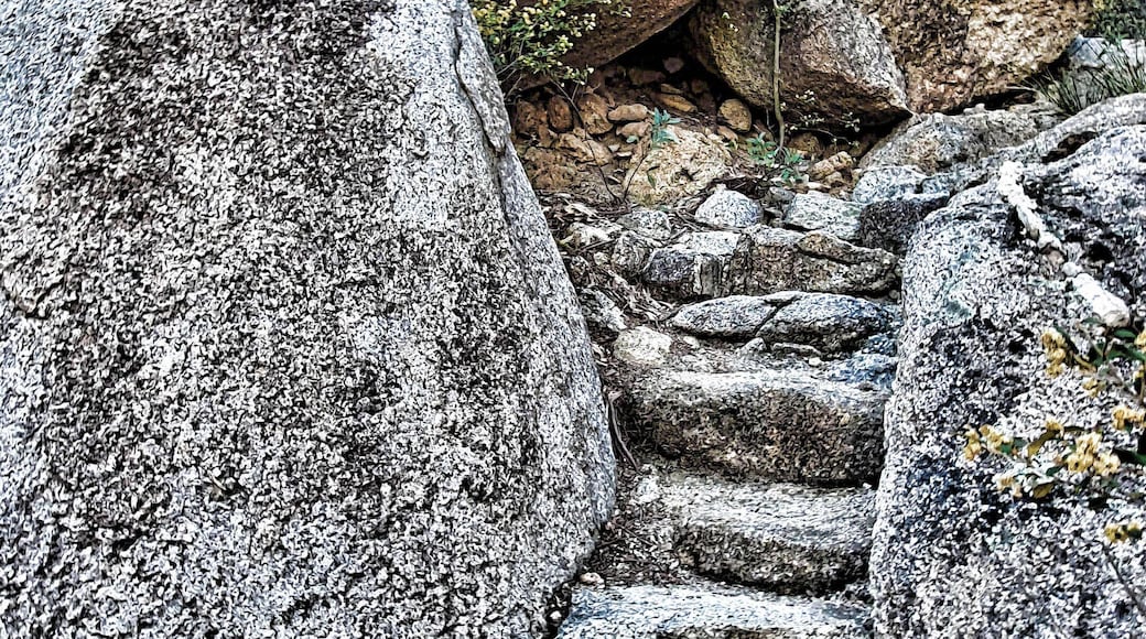 See the scenic view shot for the full story