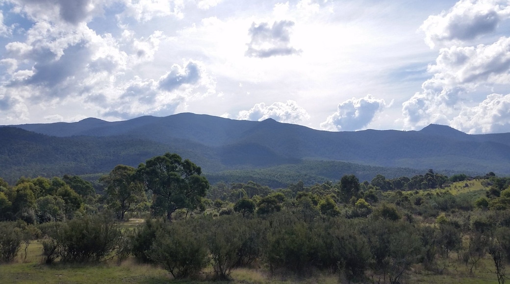 Great trip to Australia.