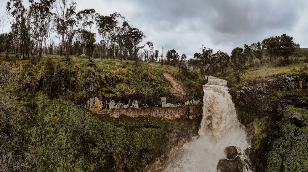 Aerial view of Paddy's River Falls after heavy rain. Heavy flowing waterfall in New South Wales, Australia.