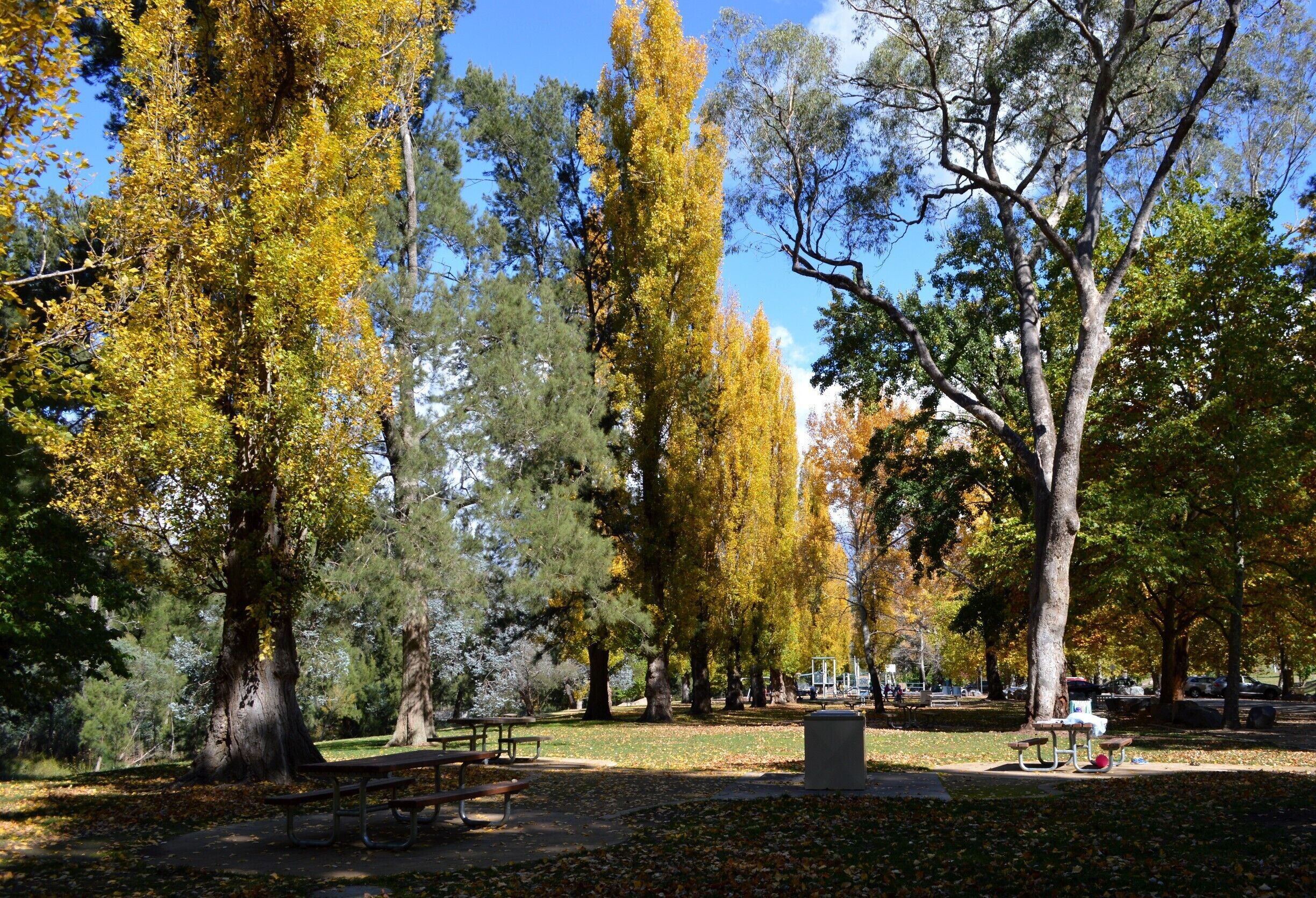 PICNIC in COTTER AVENUE… This idyllic setting is a perfect place for a picnic lunch and a relaxing afternoon. There are plenty of picnic tables, BBQ facilities, a clean amenities block and ample shaded spots to pull out the picnic rug. The kids like mine will love the large playground with swings, see-saw, a large climbing frame and a basketball court. 