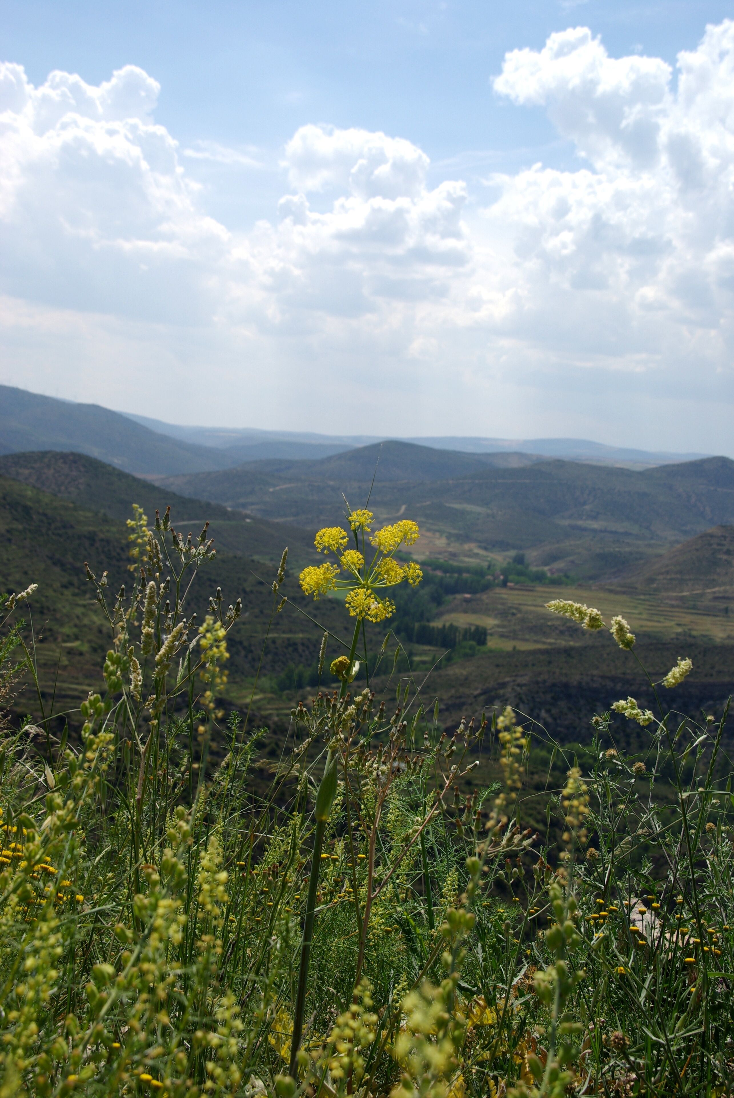 on route from Tudela to Logrono