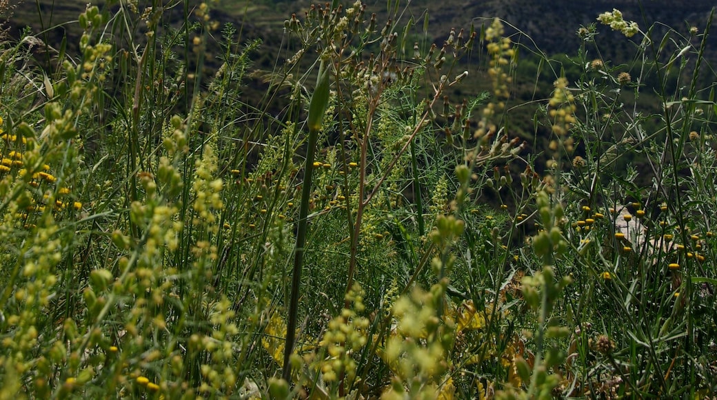 on route from Tudela to Logrono