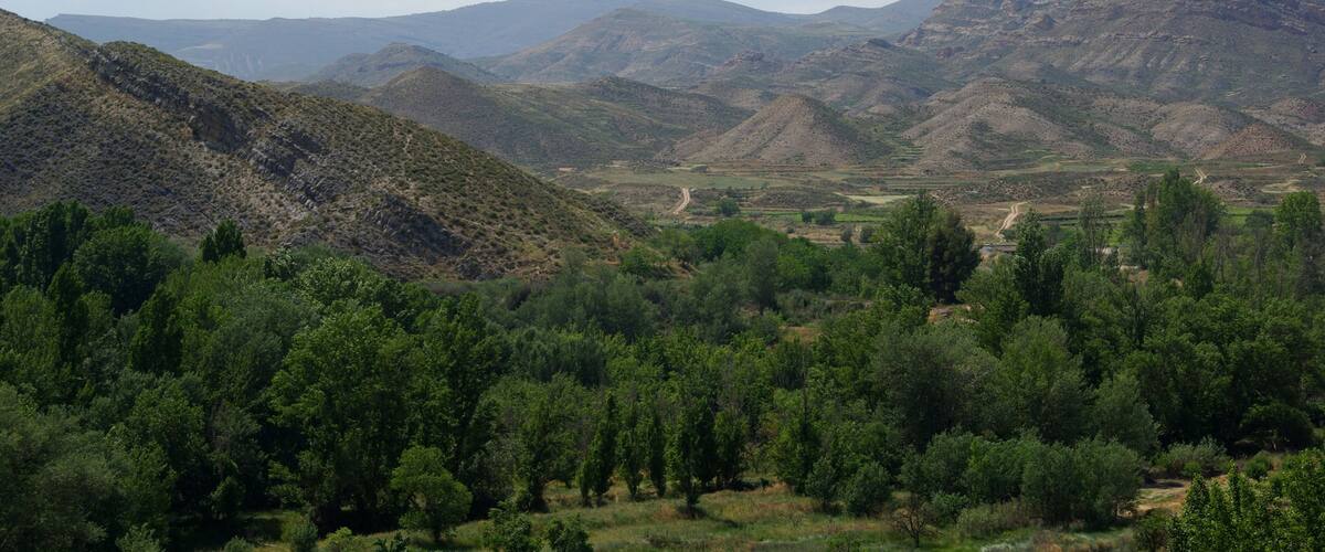 A mountainous landscape with dense green forests and a winding road.