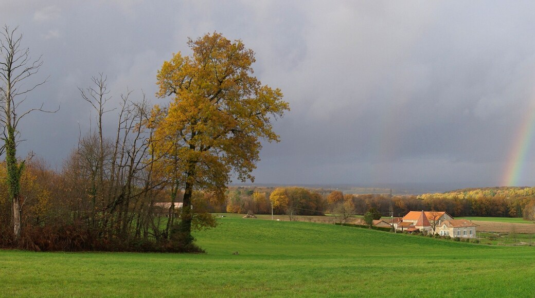 Farmhouse of Charriaud and woods of Labrousse, seen from D 137, Saint-Romain, Charente, France.