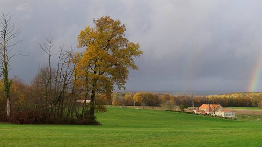 Farmhouse of Charriaud and woods of Labrousse, seen from D 137, Saint-Romain, Charente, France.