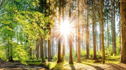 ํ๋ก์คํธ