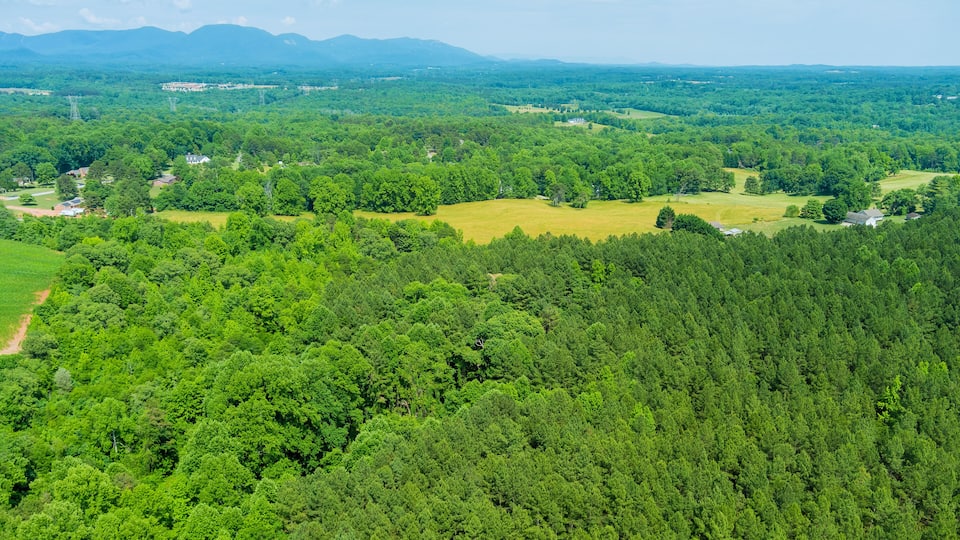 A lush green landscape with dense forests, rolling hills, and distant mountains.