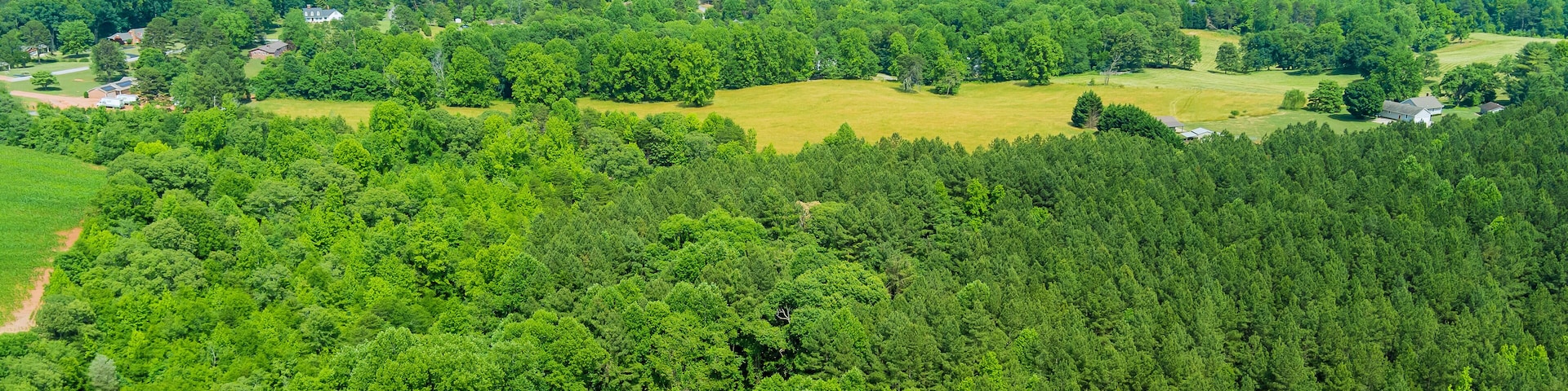 Uma paisagem verdejante com florestas densas, colinas ondulantes e montanhas ao longe.