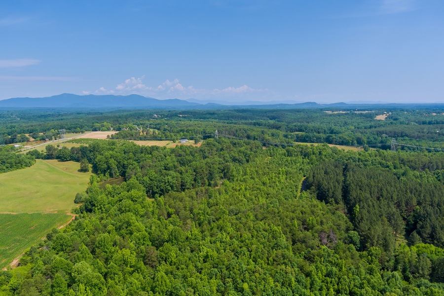 Aerial on green forest view at summer time with good weather by mountains in Campobello town , South Carolina