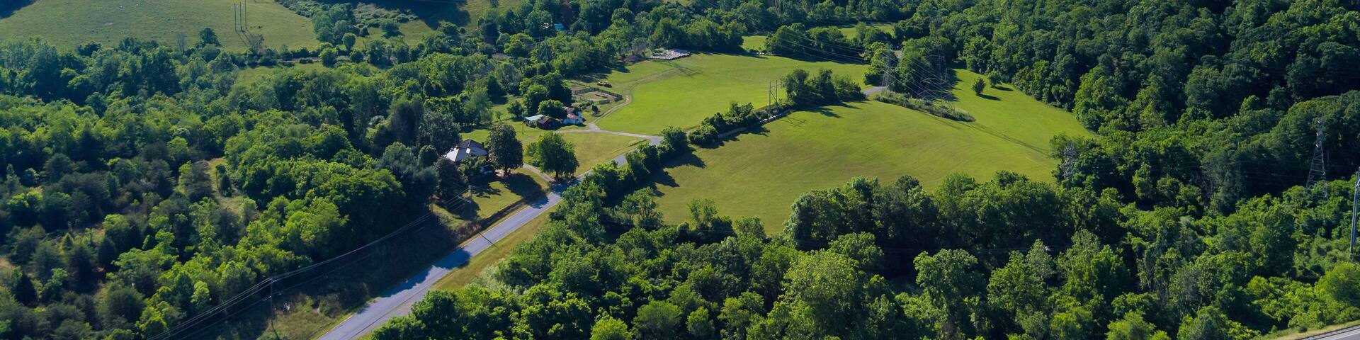 Panoramic aerial view of summer green trees forest in Campobello, South Carolina