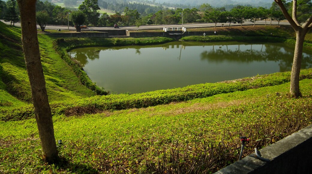 Neipinglin 内坪林