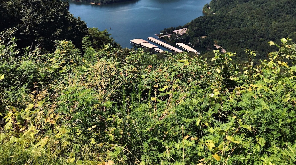 Parksville Lake from Chilhowee.