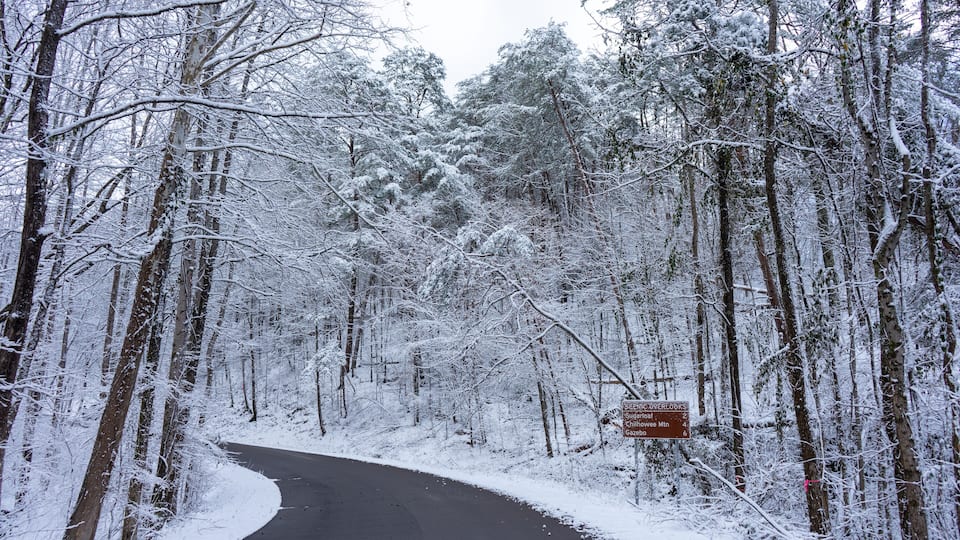 A snow-covered forest road with a sign indicating distances to various locations.