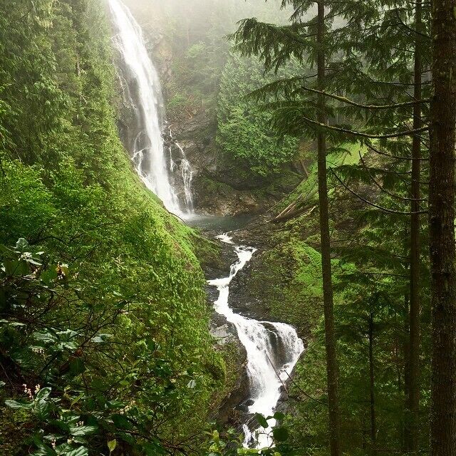 A waterfall cascading through a lush forest.