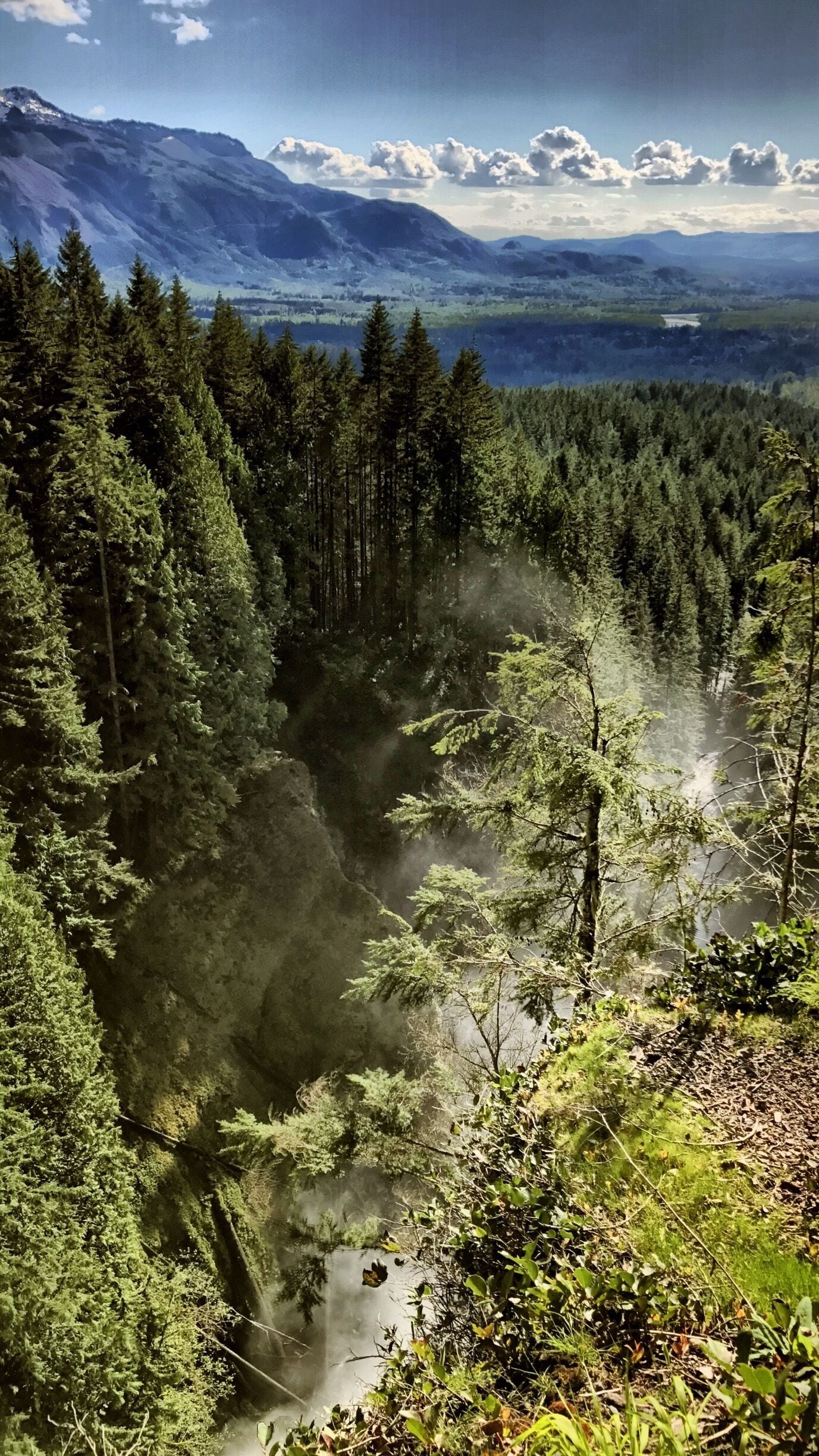 Un bosque denso con un río que lo atraviesa, rodeado de montañas y un cielo nublado.