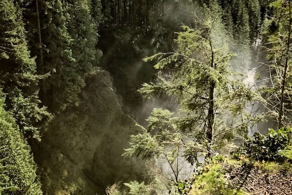 A dense forest with a river flowing through it, surrounded by mountains and a cloudy sky.