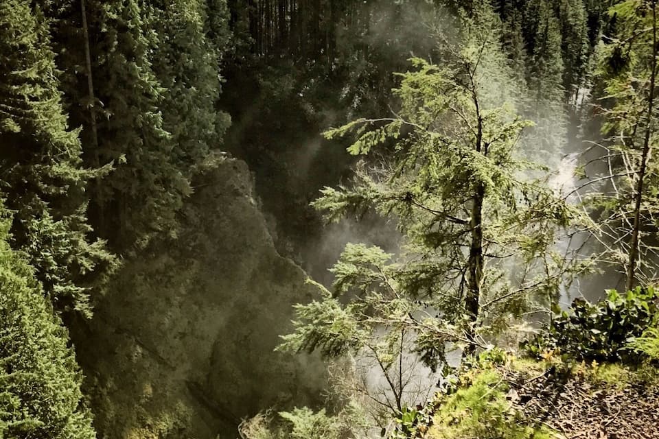 Un bosque denso con un río que lo atraviesa, rodeado de montañas y un cielo nublado.