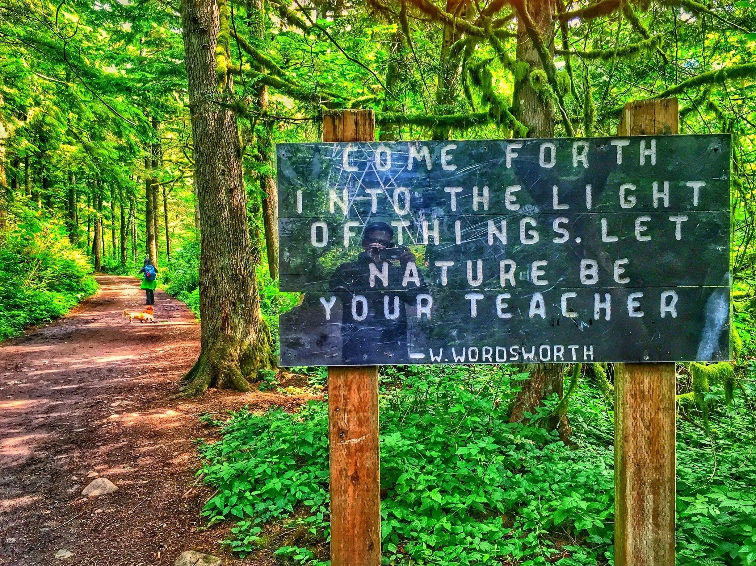 word. nature has always been a great teacher.
.
.
.
.
.
#pnw #wallacefalls #washingtonstate #nature #naturelovers #trekking #hike #thegreatoutdoors #travelgram #wanderlust #pacificnorthwest #tree #forest #seattle #earthday #climatechange #earth #travelphotography #travelawesome #passionpassport #tflers #instagood #naturephotography #naturegram #earthpix #explore #illgrammers #way2ill #natgeo #bbctravel #lifeatexpedia